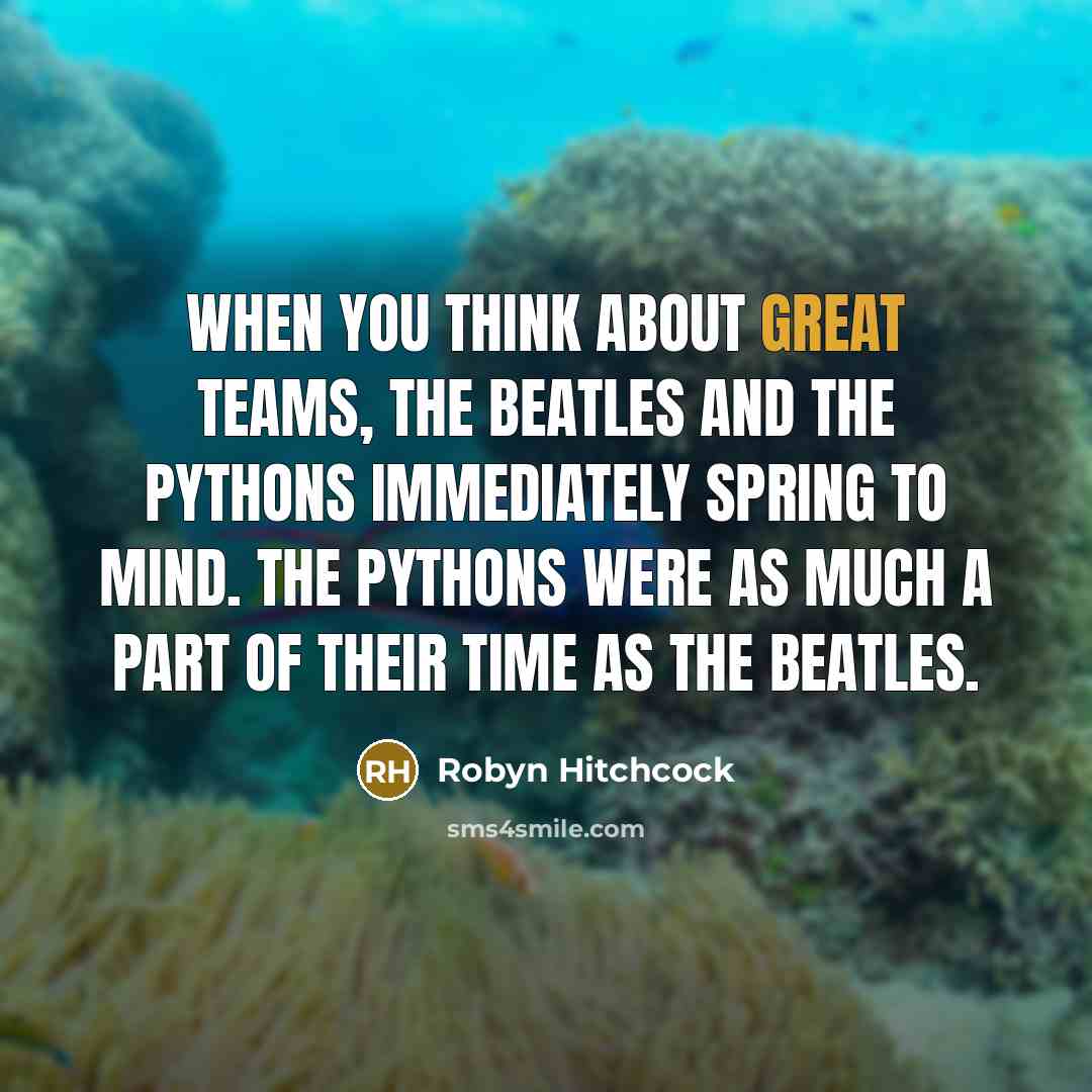 “When you think about great teams, The Beatles and the…” quote by Robyn Hitchcock