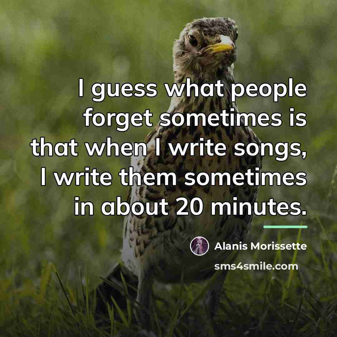 “I guess what people forget sometimes is that when I…” quote by Alanis Morissette