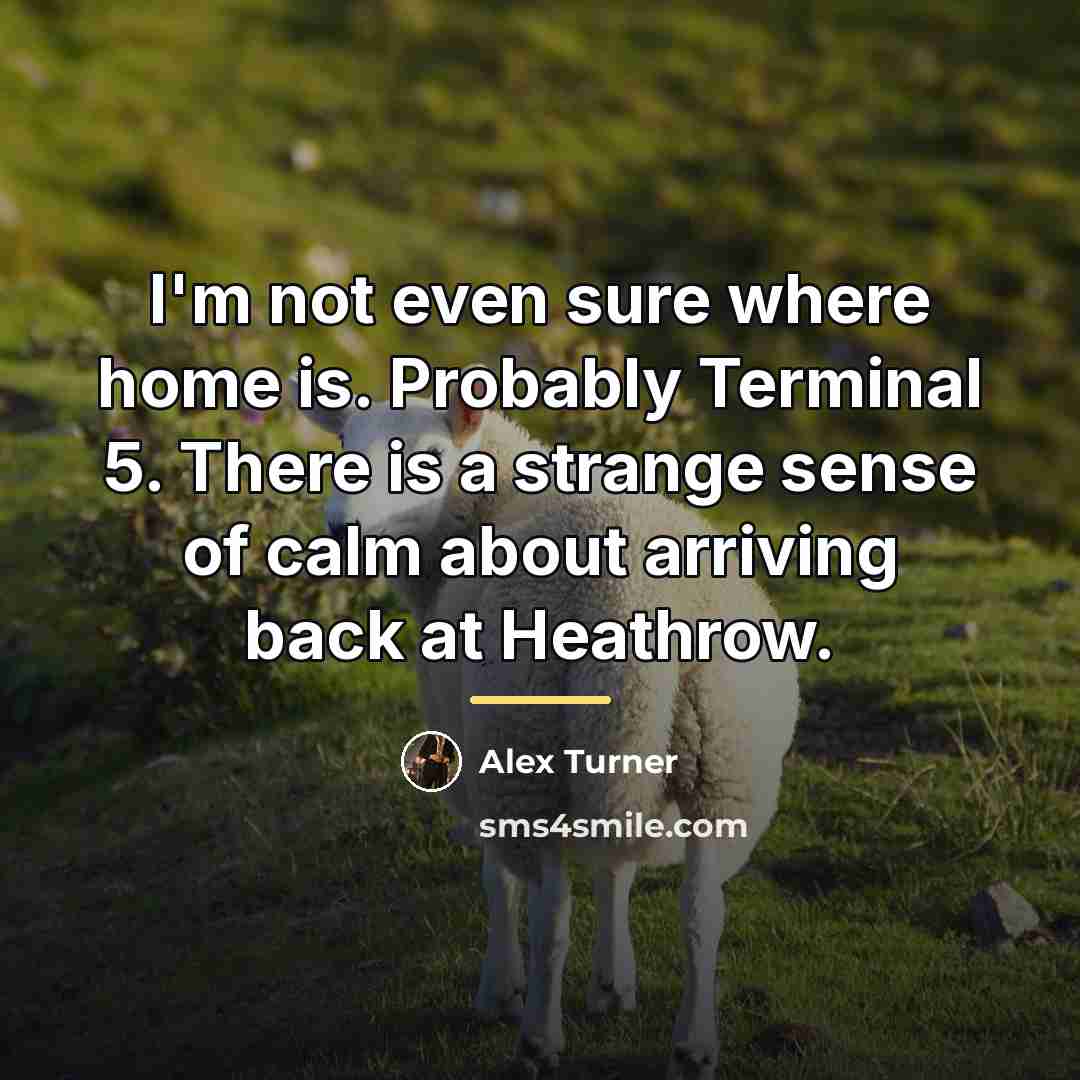 “I'm not even sure where home is. Probably Terminal 5.…” quote by Alex Turner