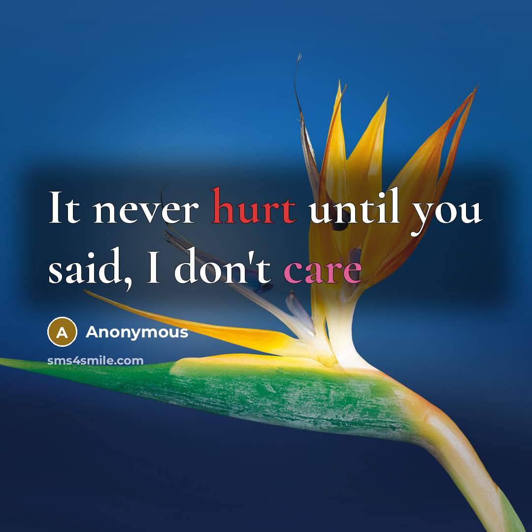 “It never hurt until you said, I don't care” quote by Anonymous