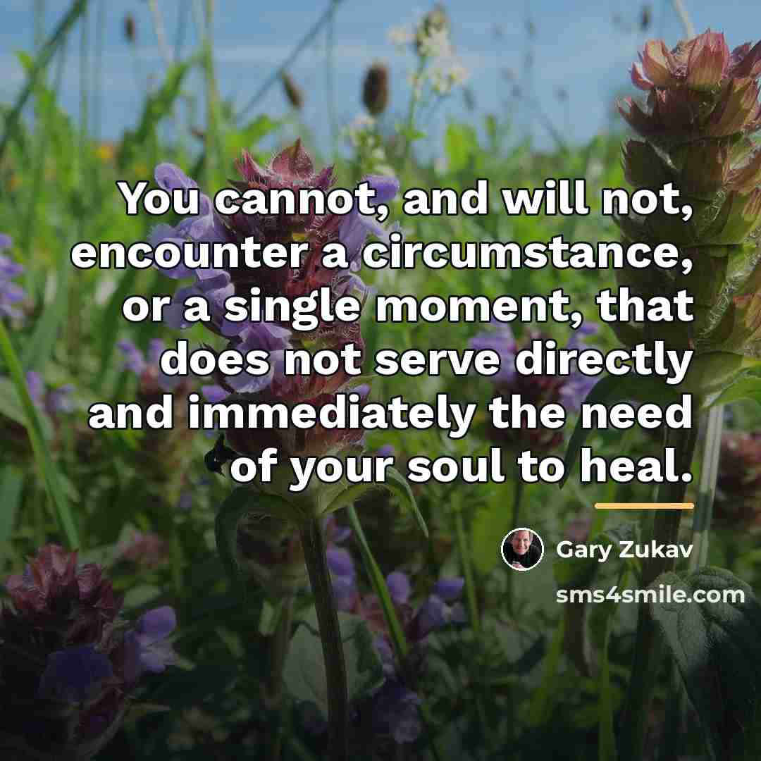 “You cannot, and will not, encounter a circumstance, or a…” quote by Gary Zukav