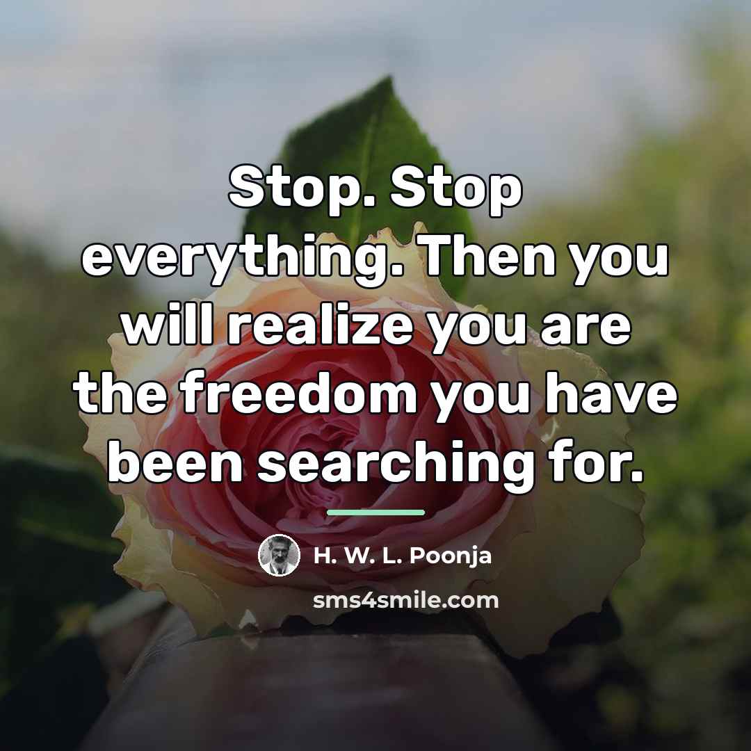 “Stop. Stop everything. Then you will realize you are the…” quote by H. W. L. Poonja