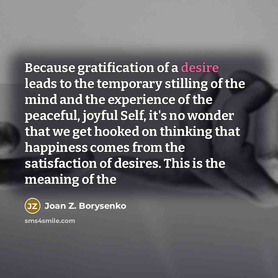 “Because gratification of a desire leads to the temporary stilling…” quote by Joan Z. Borysenko