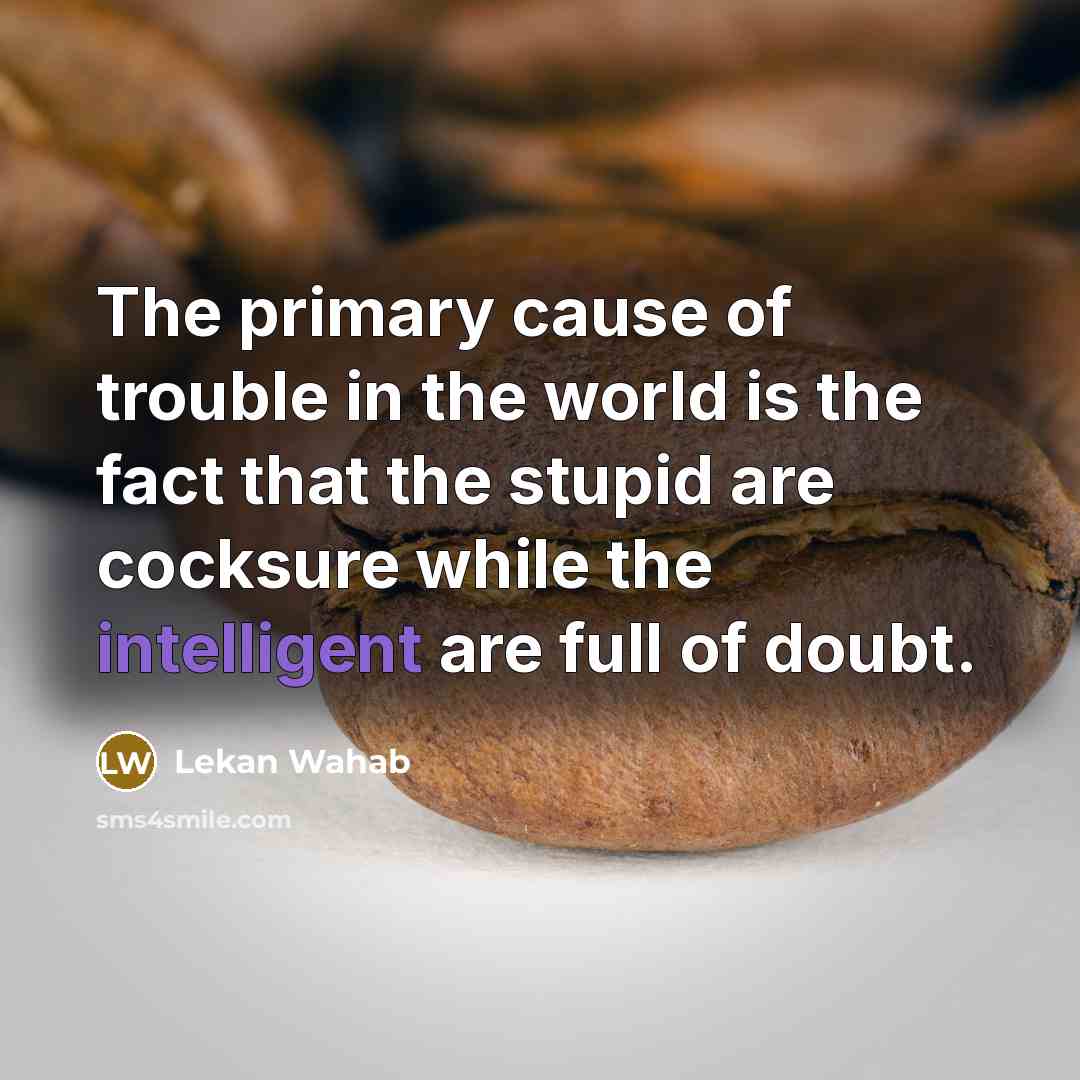 “The primary cause of trouble in the world is the…” quote by Lekan Wahab