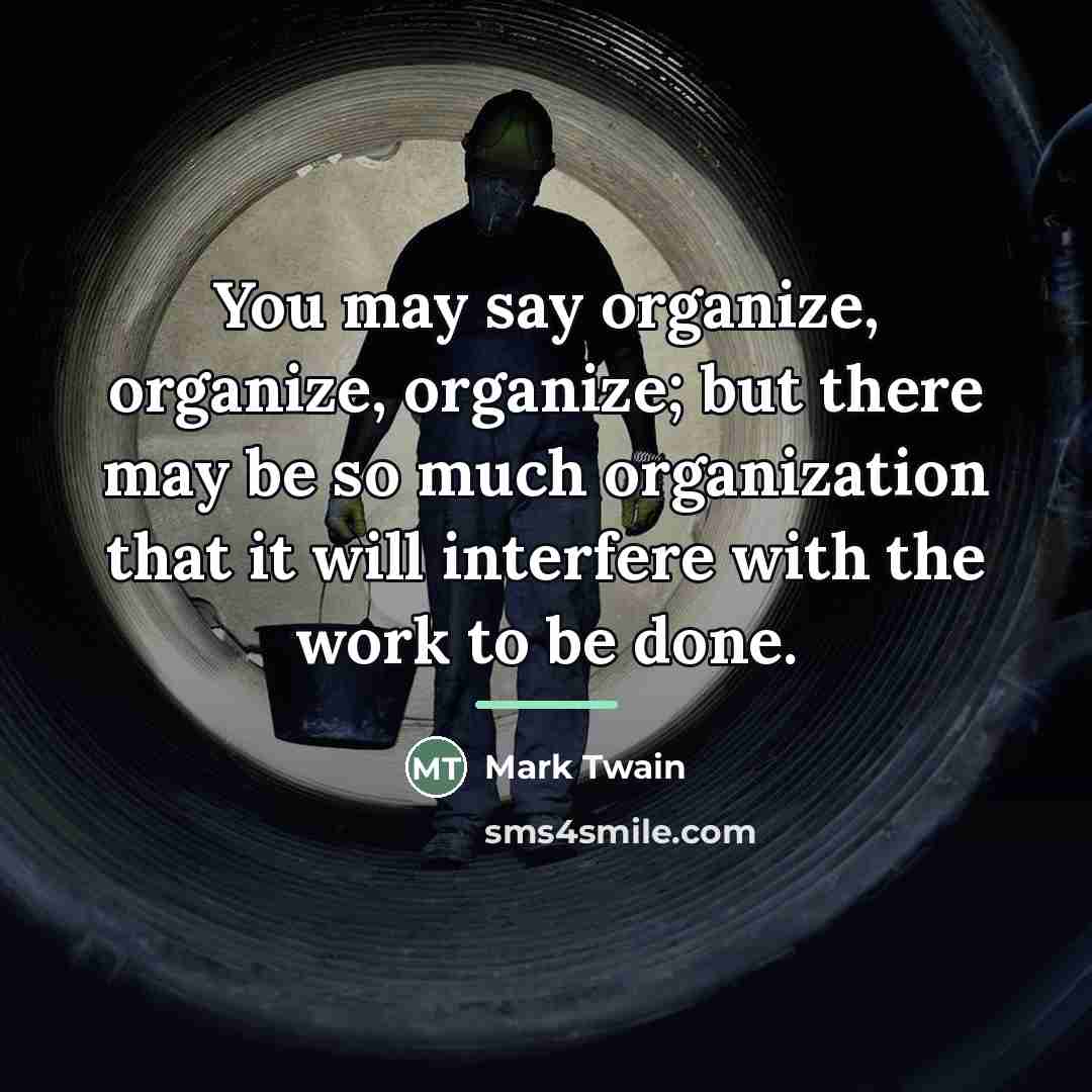 “You may say organize, organize, organize; but there may be…” quote by Mark Twain