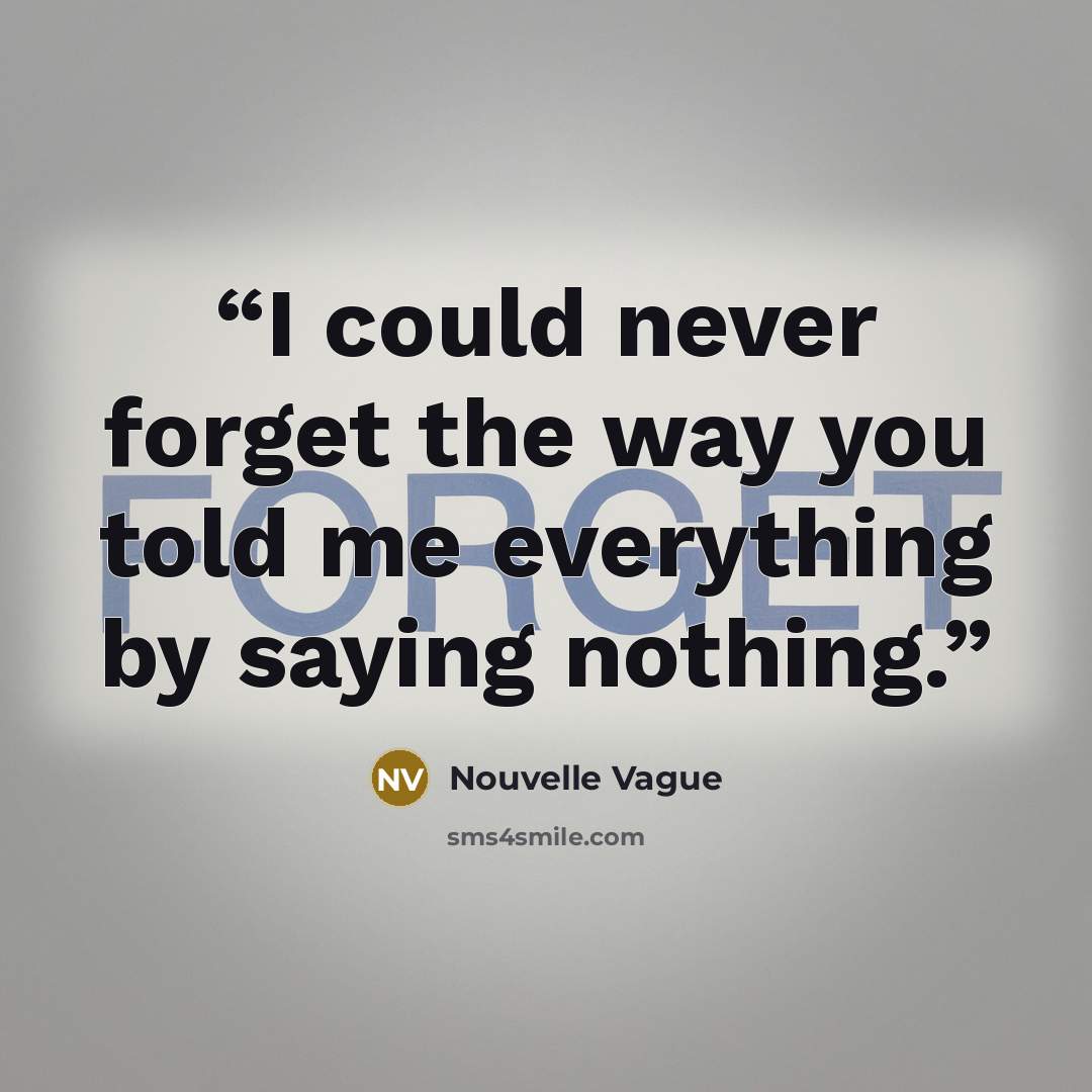 “I could never forget the way you told me everything by saying nothing.” quote by Nouvelle Vague