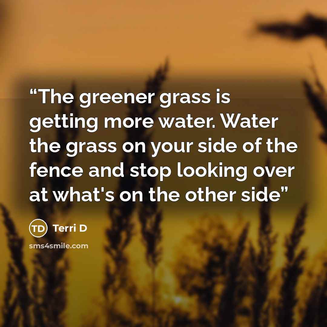 “The greener grass is getting more water. Water the grass on your side of the fence and stop looking over at what's on the other side” quote by Terri D