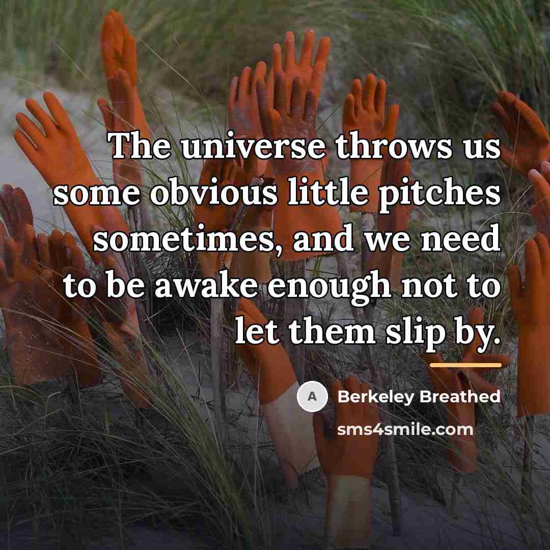 “The universe throws us some obvious little pitches sometimes, and…” quote by Berkeley Breathed