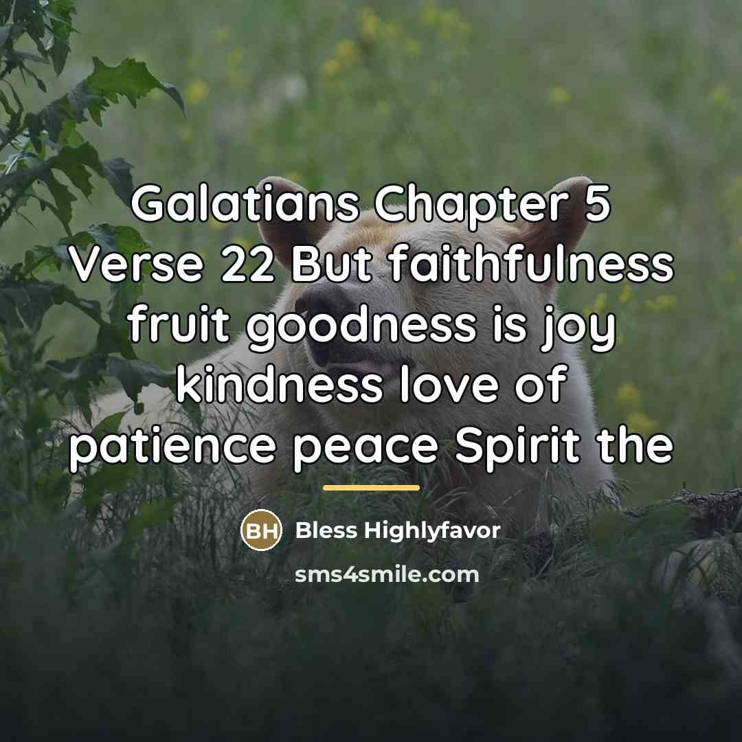 “Galatians Chapter 5 Verse 22 But faithfulness fruit goodness is…” quote by Bless Highlyfavor