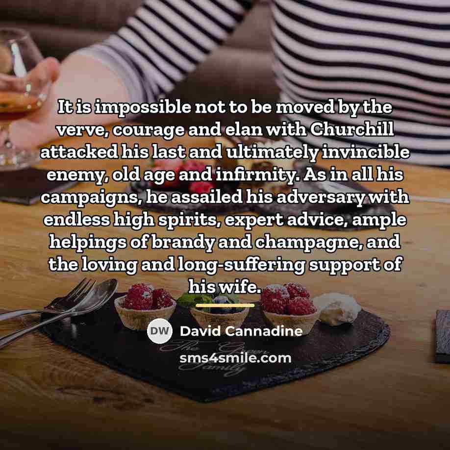 “It is impossible not to be moved by the verve,…” quote by David Cannadine