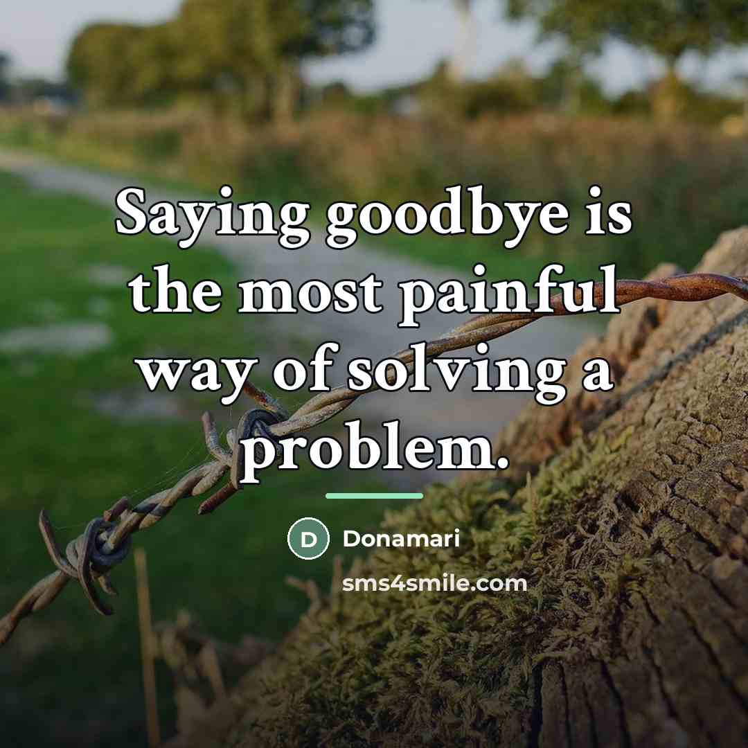 “Saying goodbye is the most painful way of solving a…” quote by Donamari