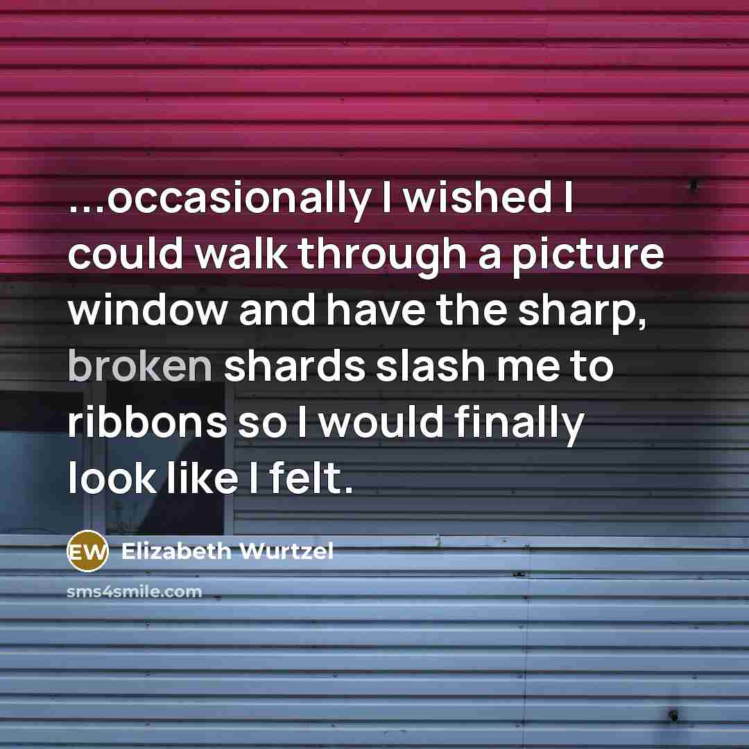 “...occasionally I wished I could walk through a picture window…” quote by Elizabeth Wurtzel