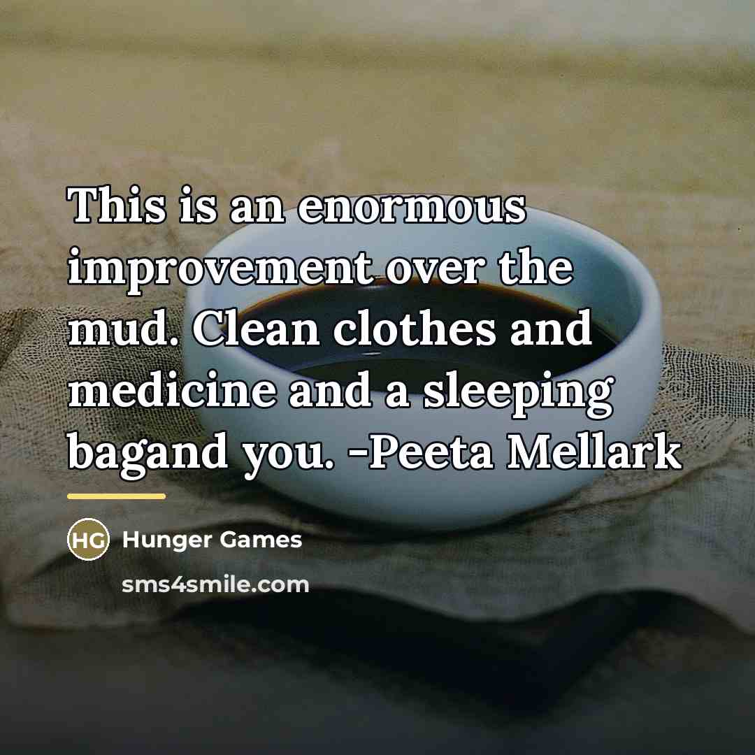 “This is an enormous improvement over the mud. Clean clothes…” quote by Hunger Games