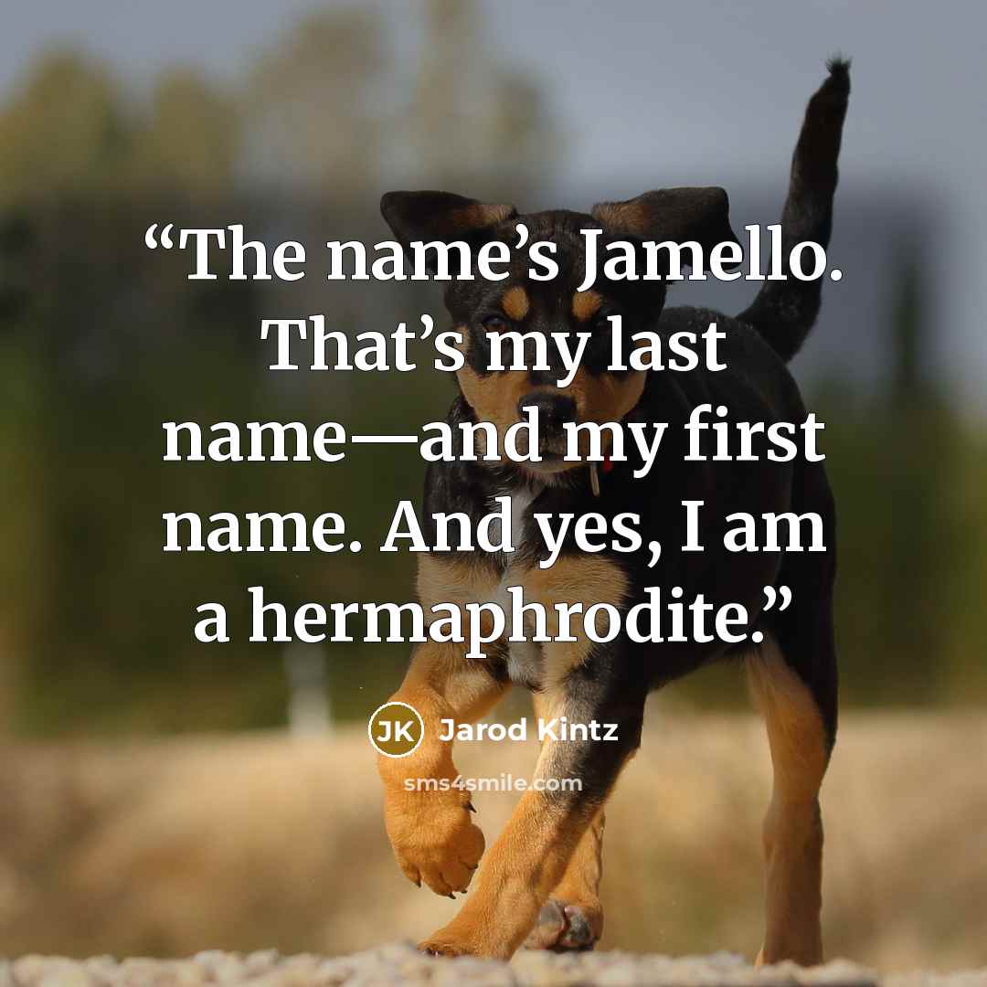 “The name’s Jamello. That’s my last name—and my first name. And yes, I am a hermaphrodite.” quote by Jarod Kintz