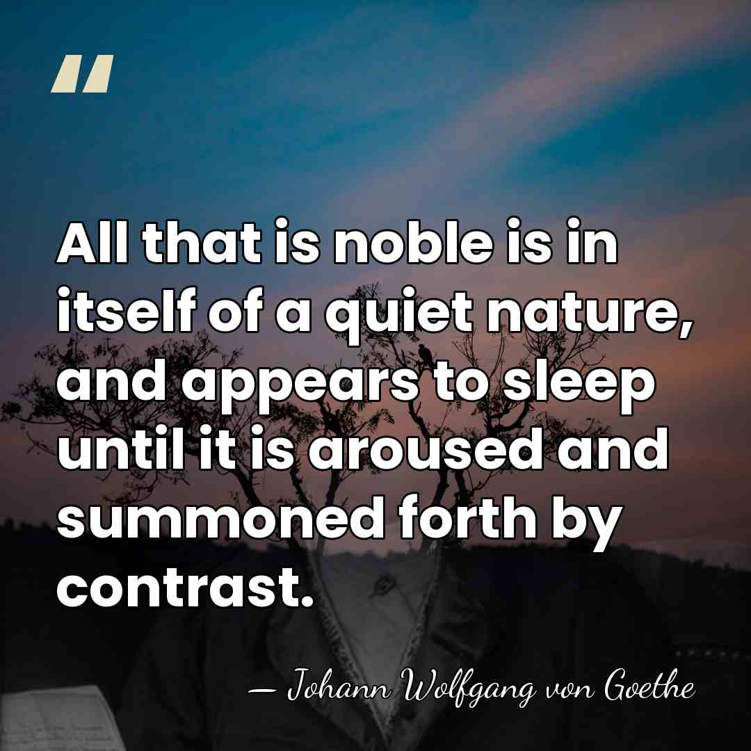 All that is noble is in itself of a quiet nature, and&hellip; - Johann Wolfgang von Goethe