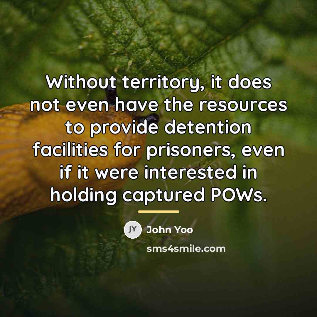 “Without territory, it does not even have the resources to…” quote by John Yoo