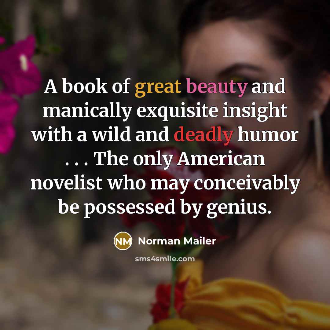 “A book of great beauty and manically exquisite insight with…” quote by Norman Mailer
