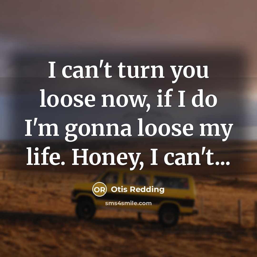 “I can't turn you loose now, if I do I'm…” quote by Otis Redding