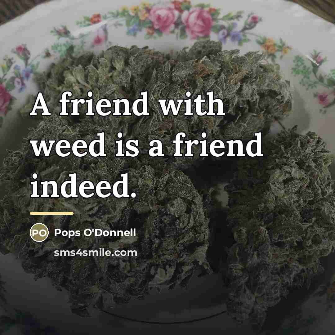 “A friend with weed is a friend indeed.…” quote by Pops O'Donnell