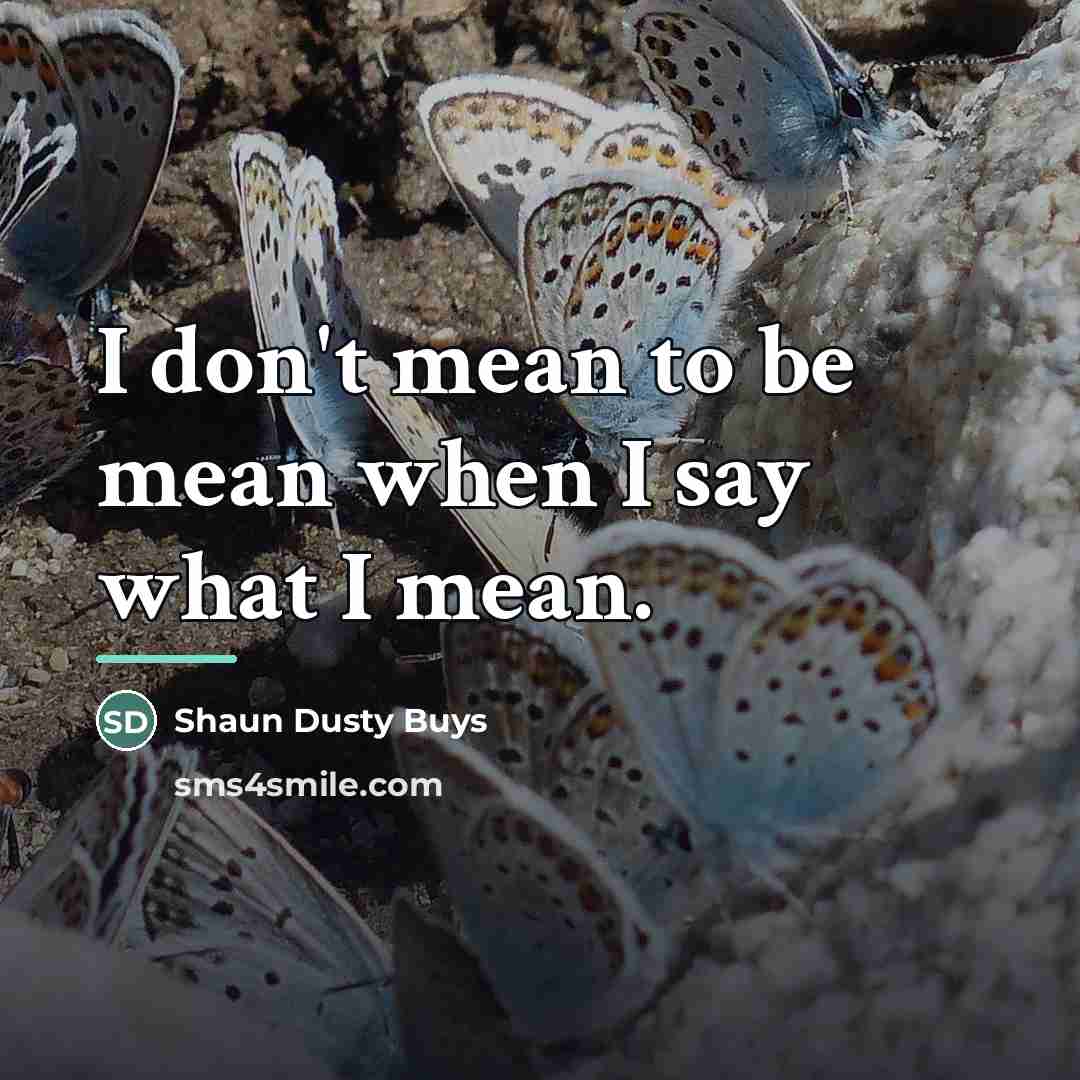 “I don't mean to be mean when I say what…” quote by Shaun Dusty Buys