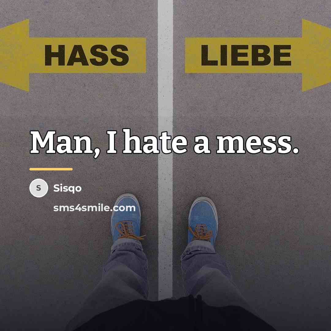 “Man, I hate a mess.…” quote by Sisqo
