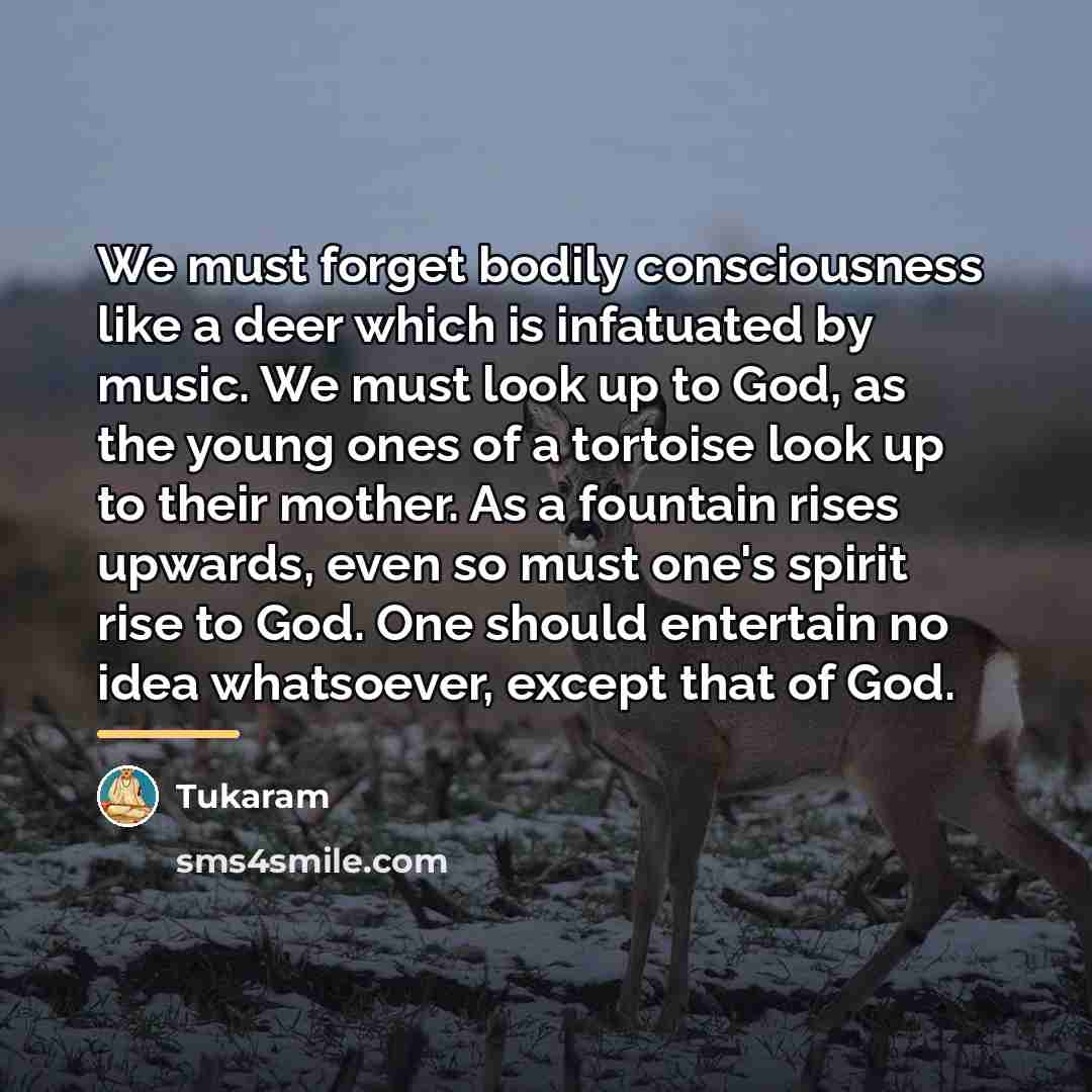 “We must forget bodily consciousness like a deer which is…” quote by Tukaram