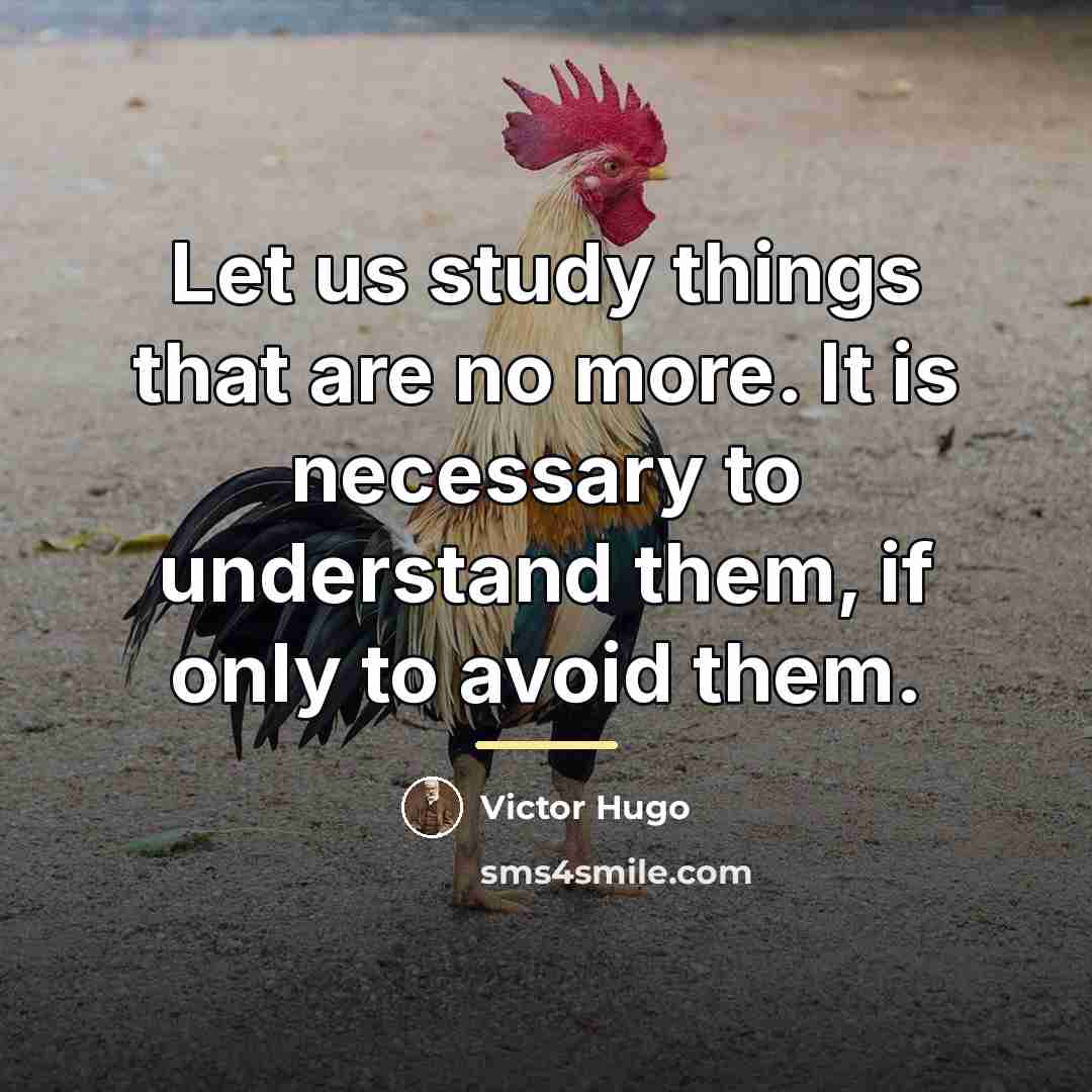 “Let us study things that are no more. It is…” quote by Victor Hugo