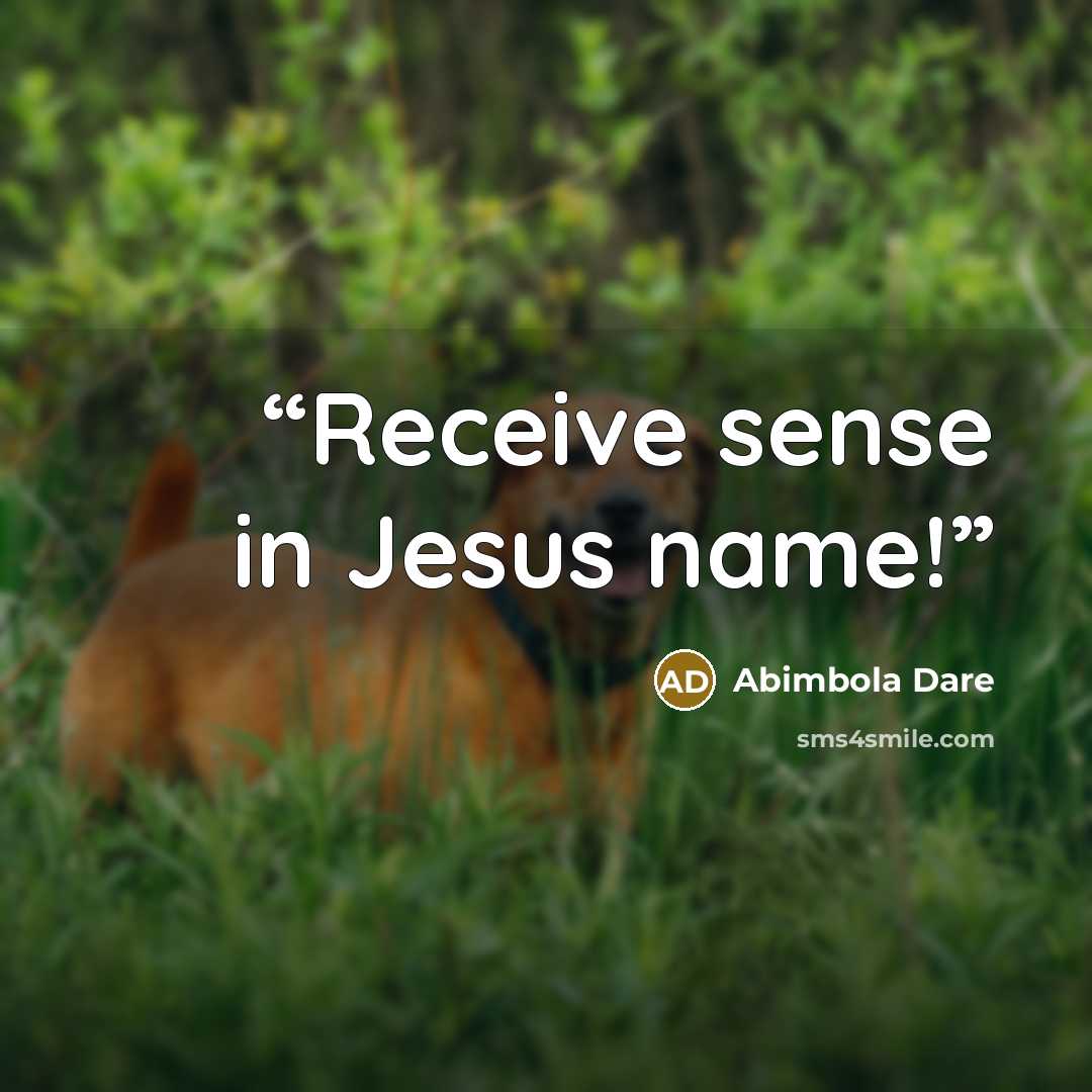 “Receive sense in Jesus name!” quote by Abimbola Dare
