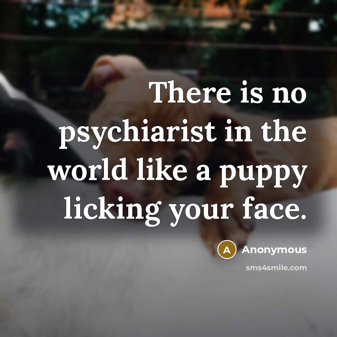“There is no psychiarist in the world like a puppy licking your face.” quote by Anonymous