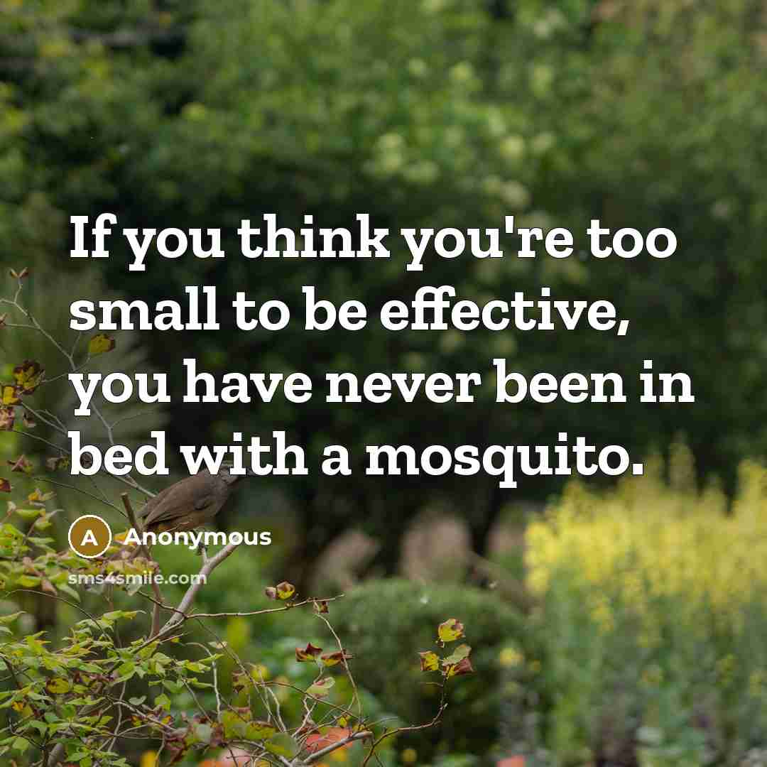 “If you think you're too small to be effective, you have never been in bed with a mosquito.” quote by Anonymous