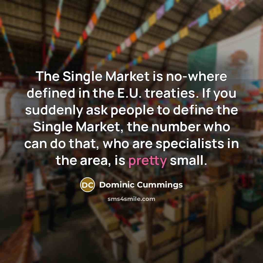 “The Single Market is no-where defined in the E.U. treaties.…” quote by Dominic Cummings