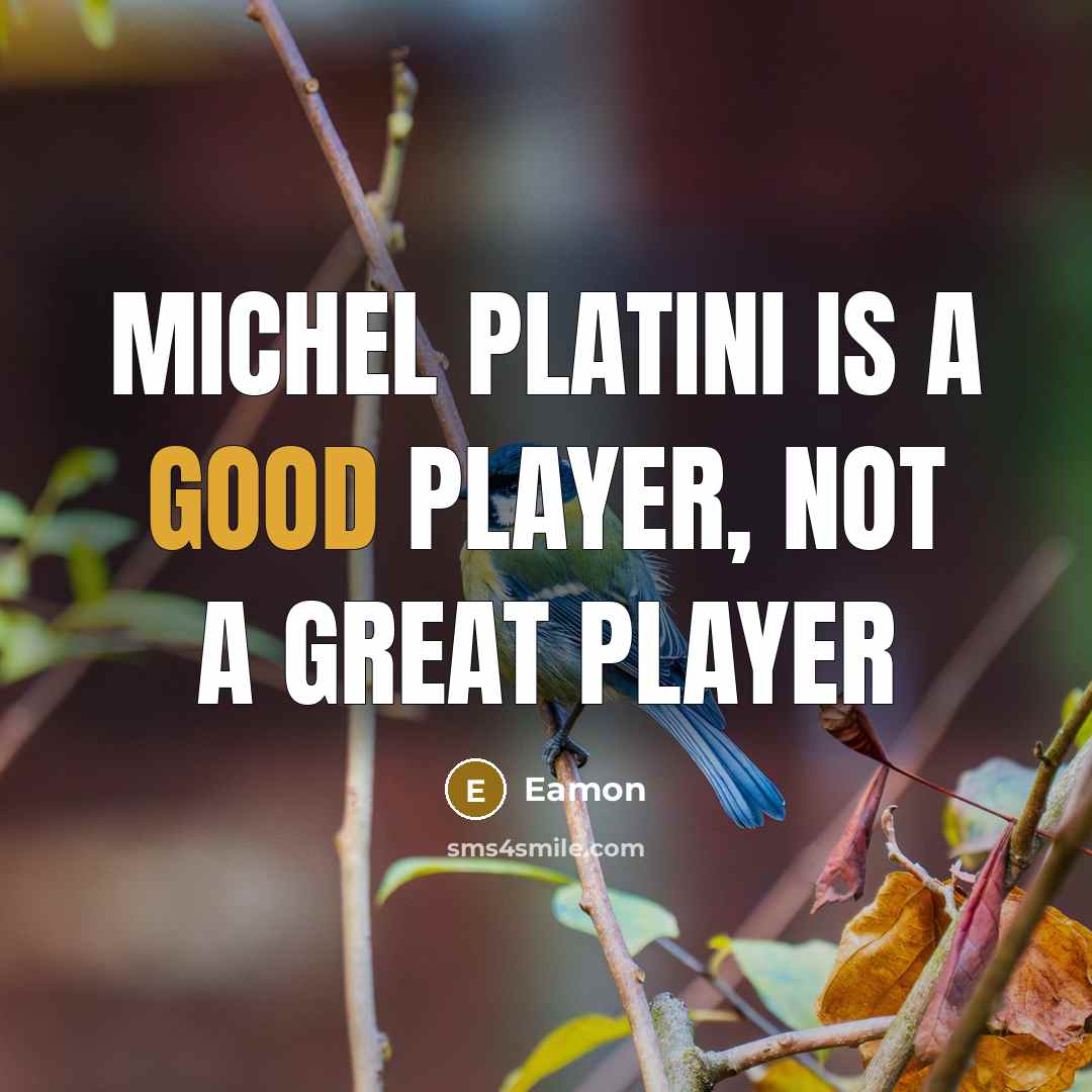 “Michel Platini is a good player, not a great player…” quote by Eamon