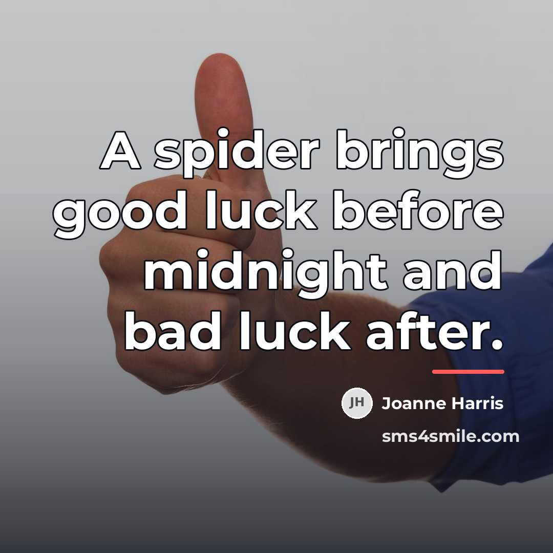 “A spider brings good luck before midnight and bad luck…” quote by Joanne Harris