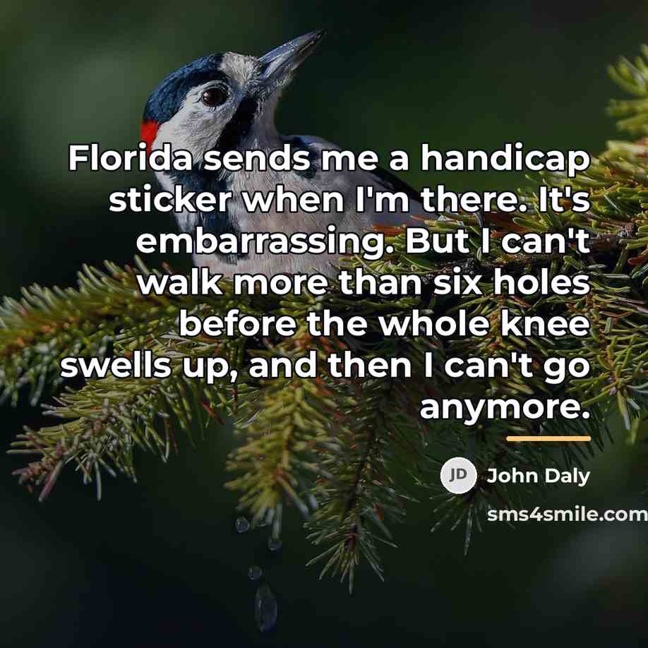 “Florida sends me a handicap sticker when I'm there. It's…” quote by John Daly