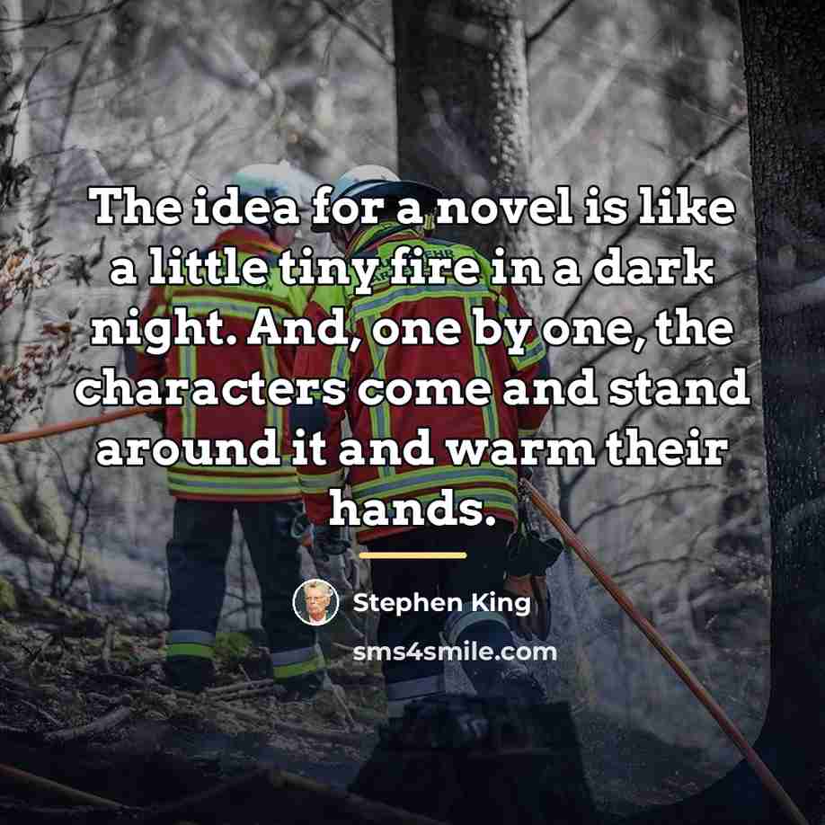 “The idea for a novel is like a little tiny…” quote by Stephen King
