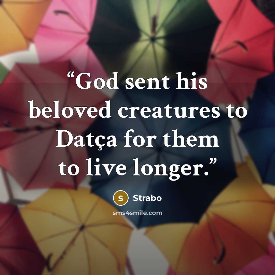 “God sent his beloved creatures to Datça for them to live longer.” quote by Strabo