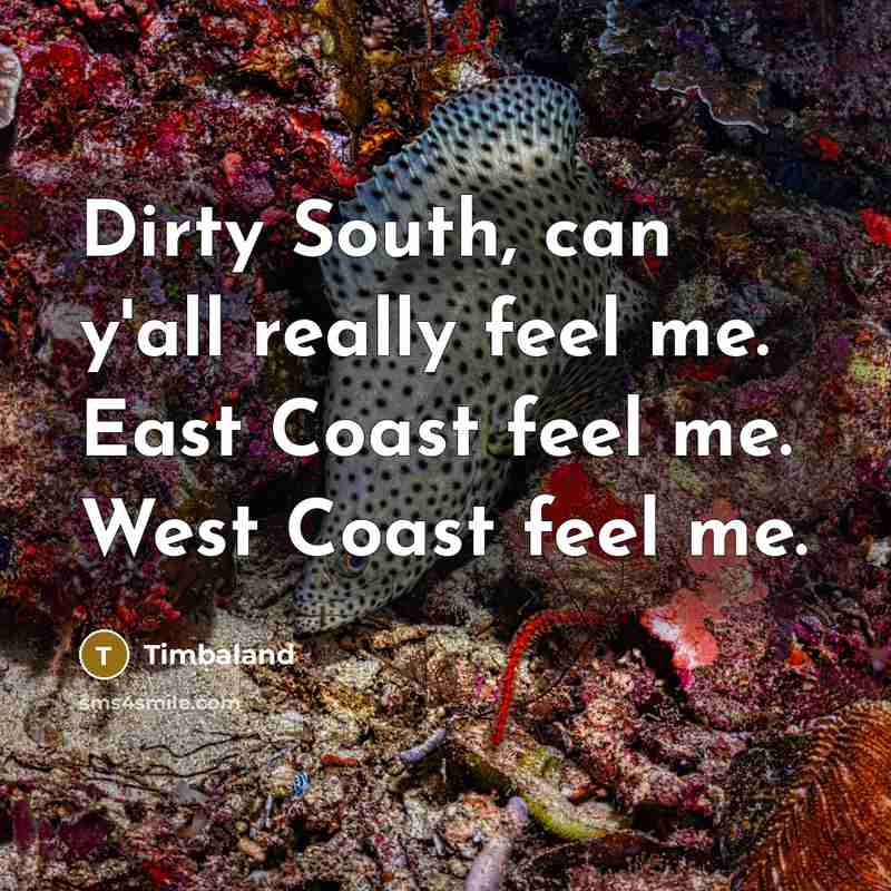 “Dirty South, can y'all really feel me. East Coast feel…” quote by Timbaland
