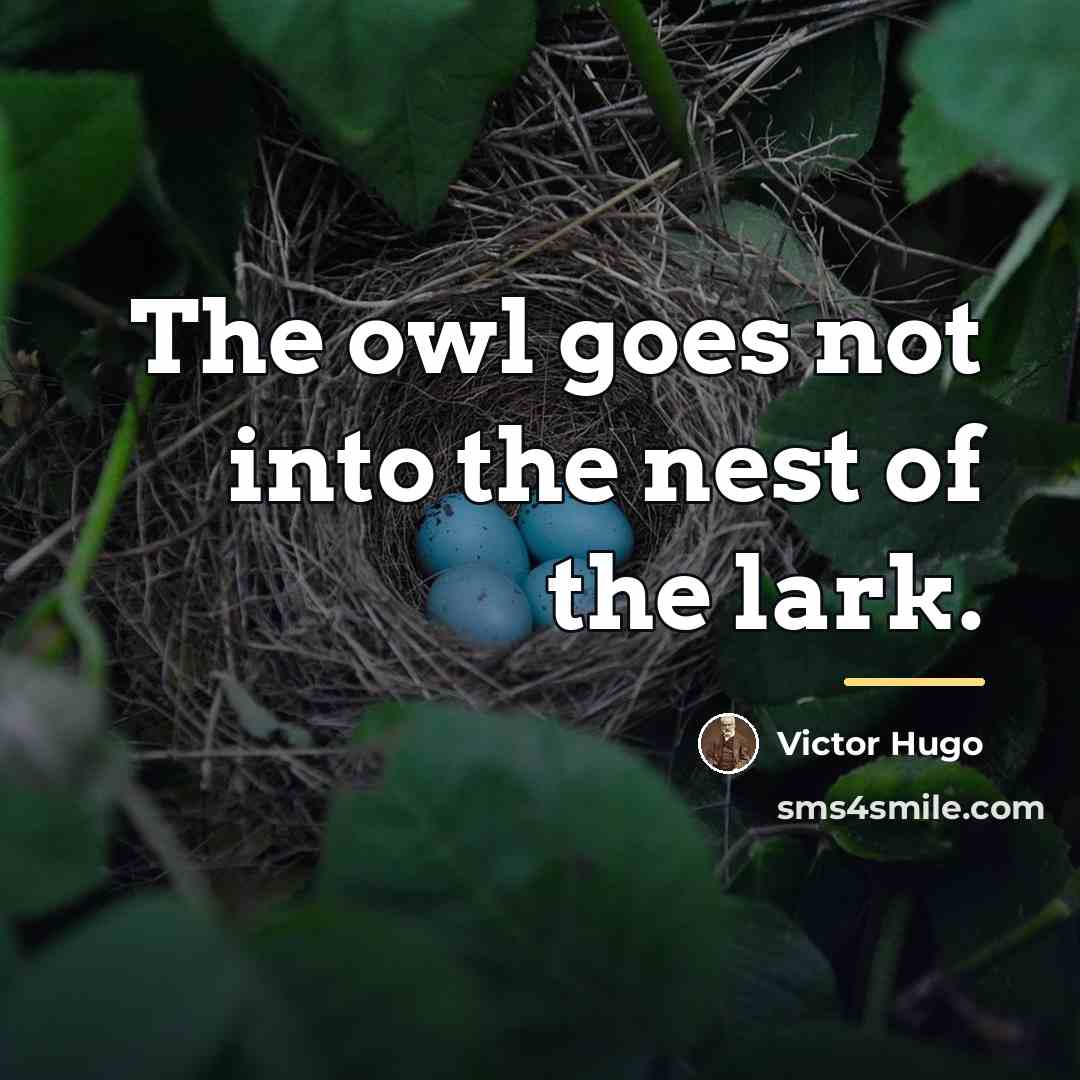 “The owl goes not into the nest of the lark.…” quote by Victor Hugo