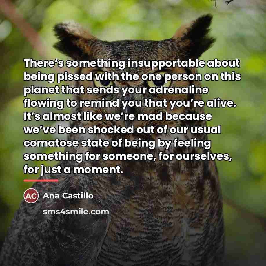 “There’s something insupportable about being pissed with the one person…” quote by Ana Castillo