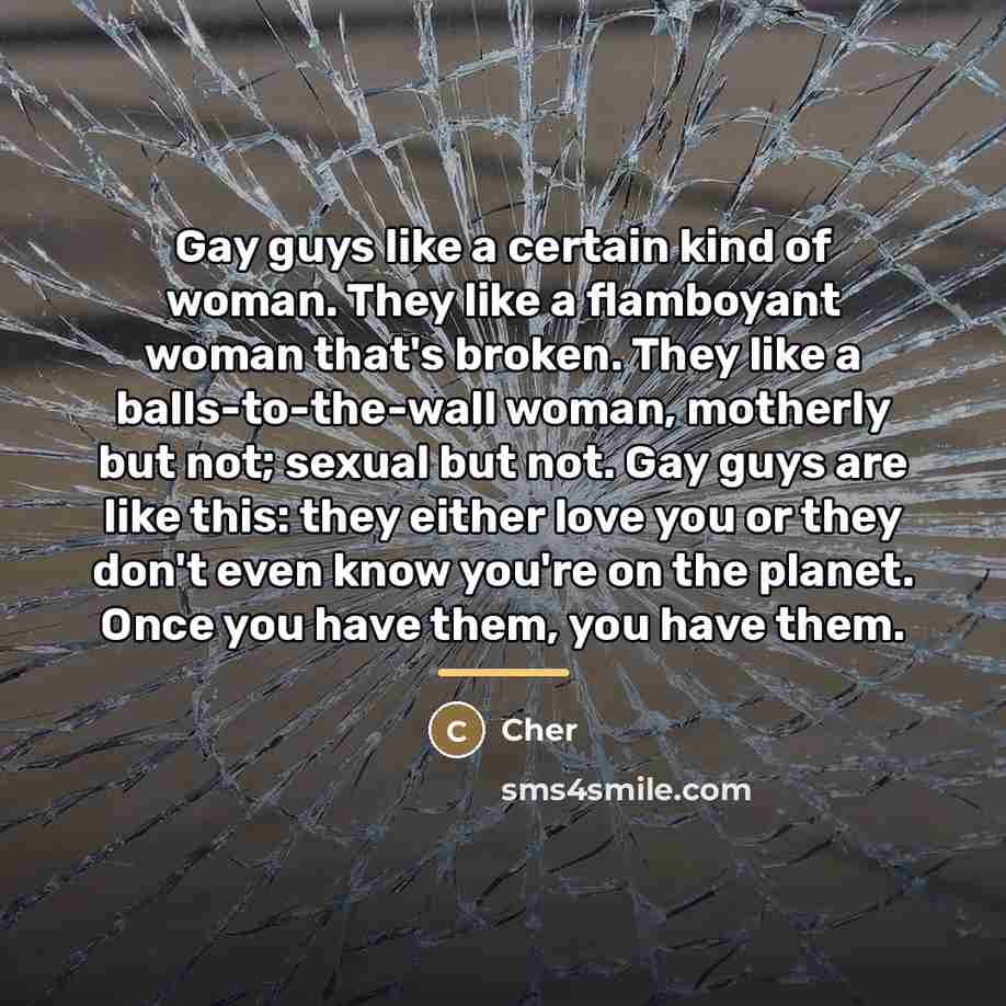 “Gay guys like a certain kind of woman. They like…” quote by Cher