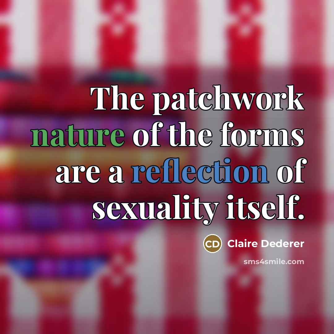 “The patchwork nature of the forms are a reflection of…” quote by Claire Dederer