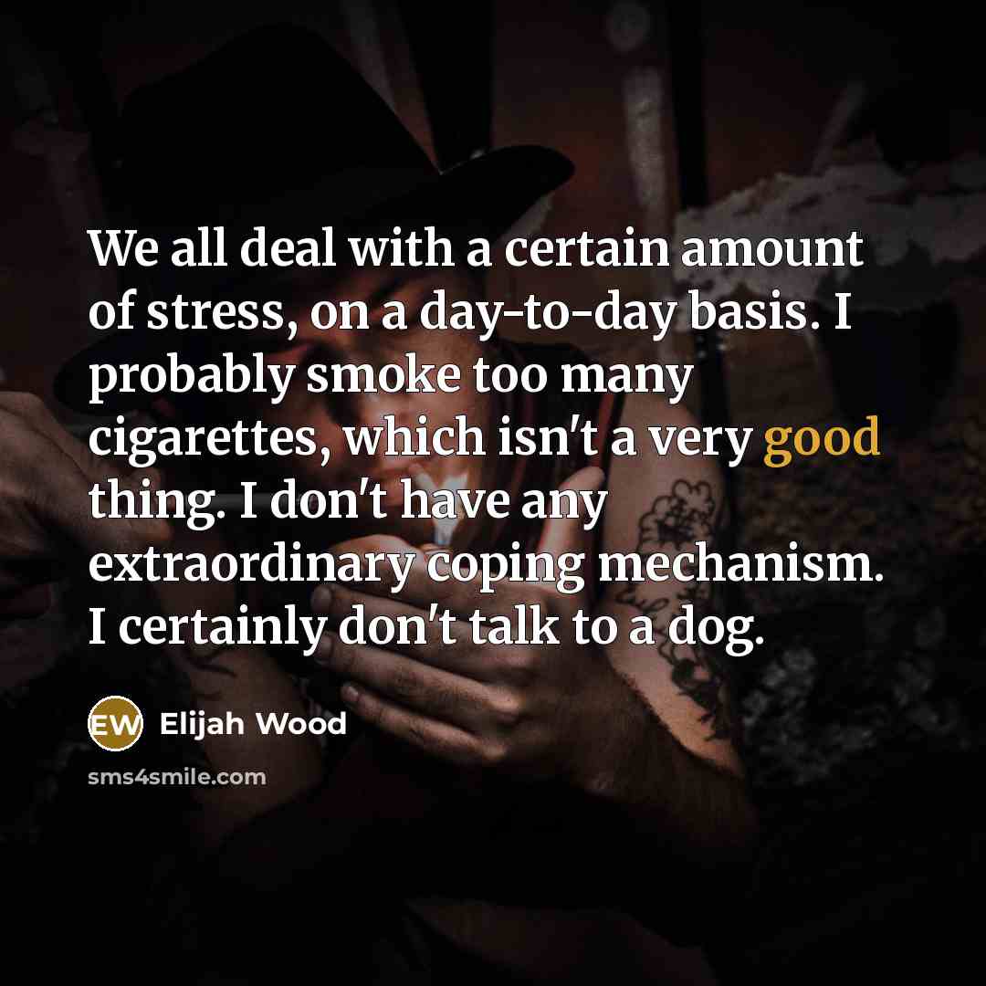 “We all deal with a certain amount of stress, on…” quote by Elijah Wood