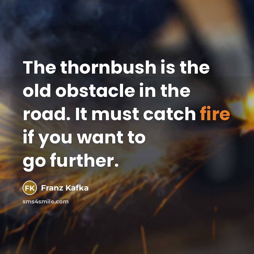“The thornbush is the old obstacle in the road. It…” quote by Franz Kafka