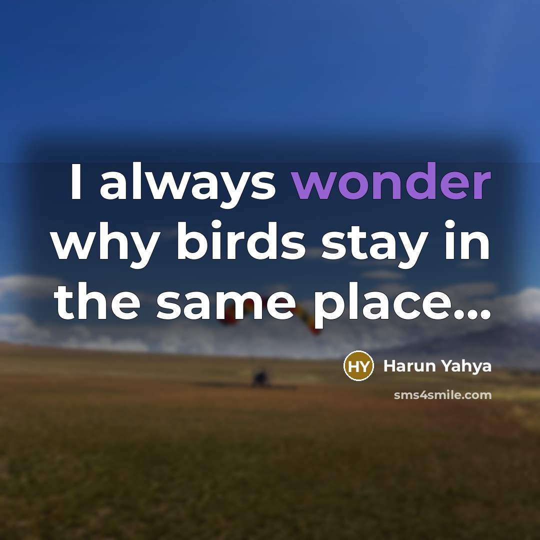 “I always wonder why birds stay in the same place...…” quote by Harun Yahya