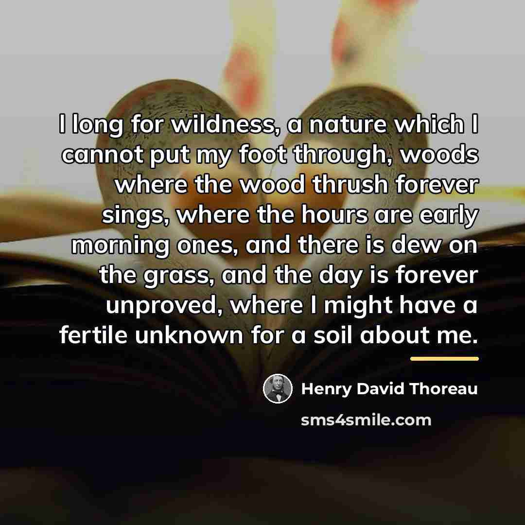 “I long for wildness, a nature which I cannot put…” quote by Henry David Thoreau