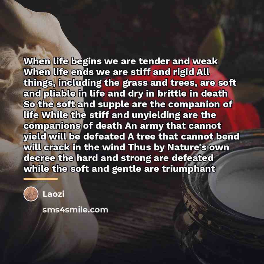 “When life begins we are tender and weak When life…” quote by Laozi