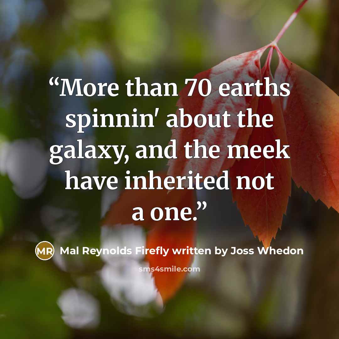 “More than 70 earths spinnin' about the galaxy, and the meek have inherited not a one.” quote by Mal Reynolds Firefly written by Joss Whedon