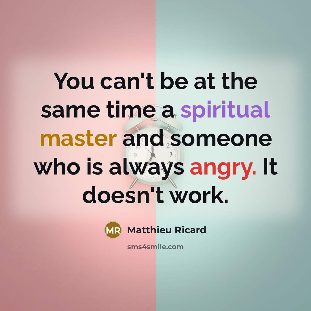 “You can't be at the same time a spiritual master…” quote by Matthieu Ricard