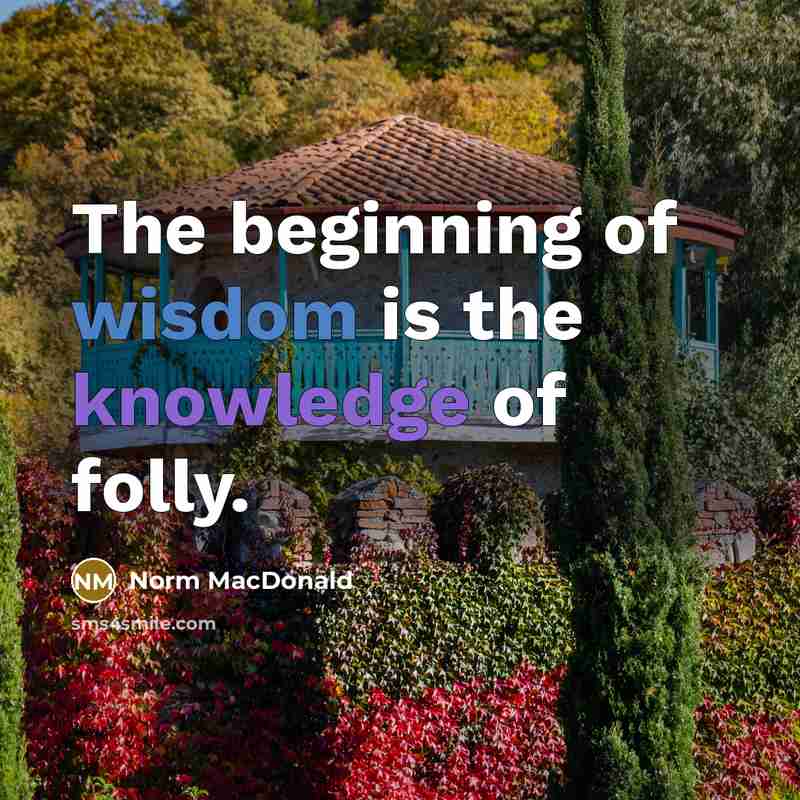 “The beginning of wisdom is the knowledge of folly.…” quote by Norm MacDonald