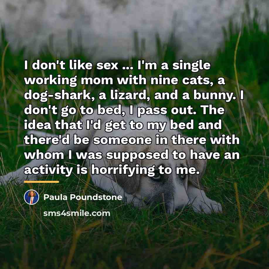 “I don't like sex ... I'm a single working mom…” quote by Paula Poundstone